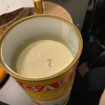 Gazi (gazi.de/tr) Beyaz Peynirden Kurt Çıktı!