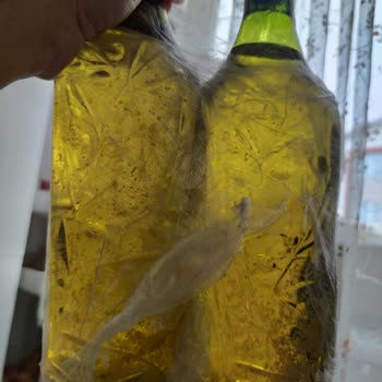 Komili Zeytinyağı Gönderilen Ürün Tortulu Çıktı.