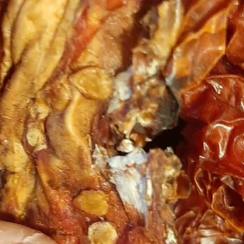 Mut İncisi Zeytin & Zeytinyağı    Küflü Ve Kurtlu Ürün Gönderdiler