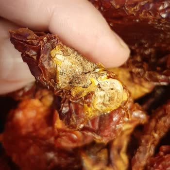 Mut İncisi Zeytin & Zeytinyağı    Küflü Ve Kurtlu Ürün Gönderdiler