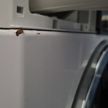 Arçelik 12143 Gövde Pas Ve Panel Ve Deterjan Çekmecesinde Lekeler