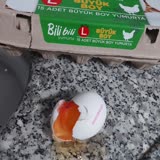 Bim Bili Bili Yumurta Kanlı Çıkması