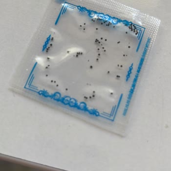 Atatohumu.org Ata Tohum Dağıtma Projesi Tam Bir Hayal Kırıklığı