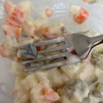 Gurumen Amerikan Salatasından Taş Çıktı