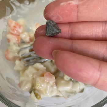 Gurumen Amerikan Salatasından Taş Çıktı