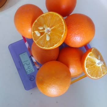 Yesillimon.com Farklı Portakal Gönderiyorlar