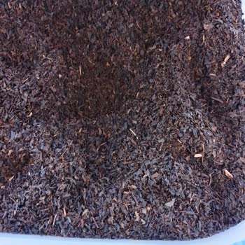 Lipton Yellow Label Rize Çayı