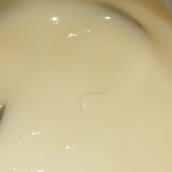 Hipp Kavanoz Mamasından Kıl Çıkması