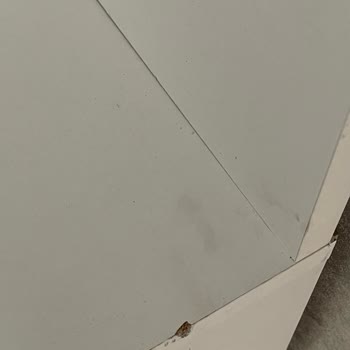 Esma Nakliyat (Gaziantep) Bir Taşıma Ne Kadar Kötü Olabilirse O Kadar Kötü