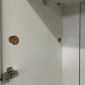 Esma Nakliyat (Gaziantep) Bir Taşıma Ne Kadar Kötü Olabilirse O Kadar Kötü