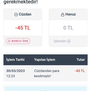 Hesapsat.net 45 TL Ceza