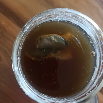 Bone Sante Ürün Buzdolabında Olmasına Rağmen Küflendi!