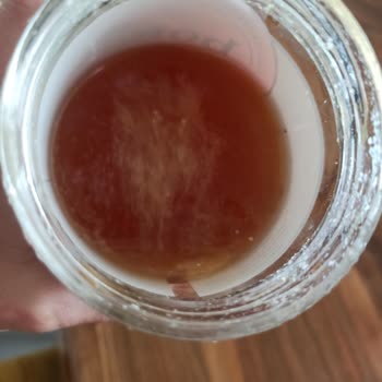 Bone Sante Ürün Buzdolabında Olmasına Rağmen Küflendi!