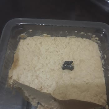 Migros Tahin Helvası Plastik Çıktı...