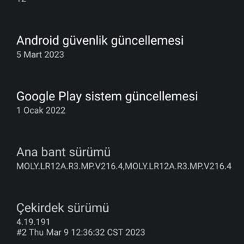 Omix Phone Durdu Ve Otomatik Sıfırlaması
