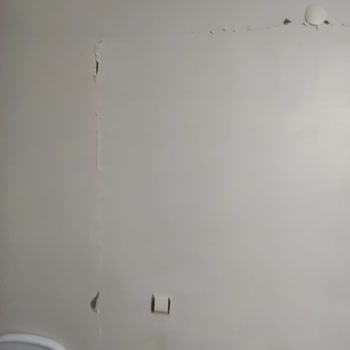 E-devlet (turkiye.gov.tr)Eksper Gelmiyor