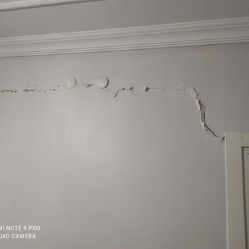 E-devlet (turkiye.gov.tr)Eksper Gelmiyor