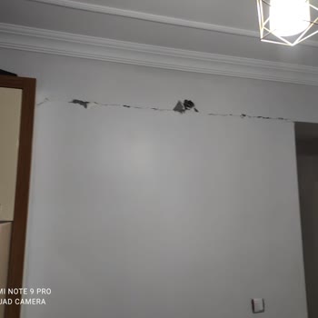 E-devlet (turkiye.gov.tr)Eksper Gelmiyor