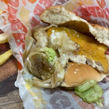 Burger King İçinde Çürümüş Yeşillik Ve Buz Gibi Burger