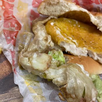 Burger King İçinde Çürümüş Yeşillik Ve Buz Gibi Burger