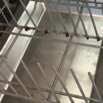 Teka Bulaşık Makinesi Sepetleri Pas İçinde