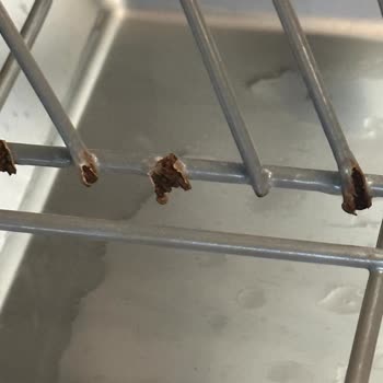 Teka Bulaşık Makinesi Sepetleri Pas İçinde