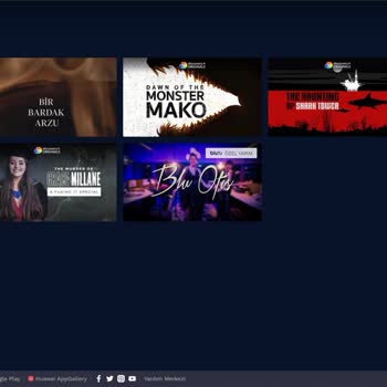 Gıbırnet Ve Blutv Arasındaki İp Engeli