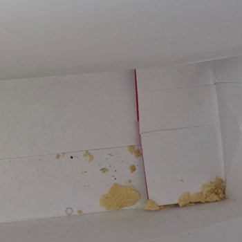 Pringles Firmasının İnsanlara Verdiği Değer!