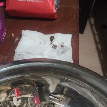 Tadım Gıda Böcekli Çekirdek Paketi