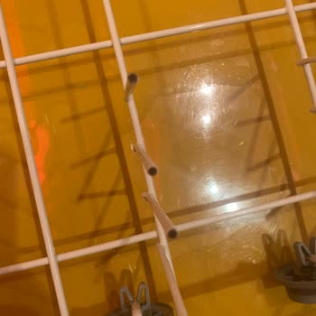 6 Yıllık Beko Bulaşık Makinesinin Her Yeri Paslandı