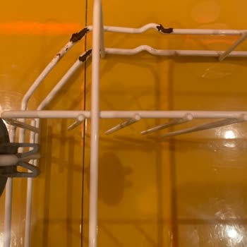 6 Years Old Beko Dishwasher Rusted Everywhere