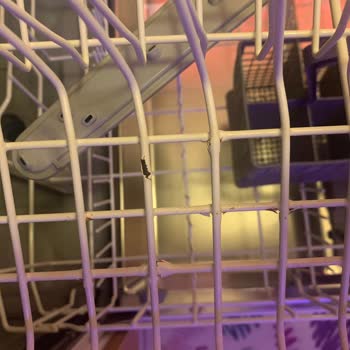 6 Years Old Beko Dishwasher Rusted Everywhere