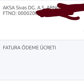 Yapı Kredi Bankası Otomatik Ödeme Talimatlı Faturamı Ödemedi.