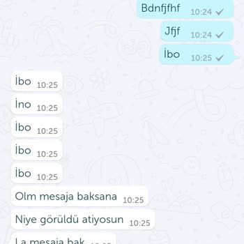Bip Uygulamasında Ki Mesajlarım Herkese Tek Tik Gidiyor