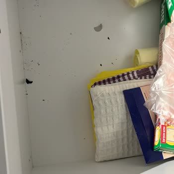 Hb Grup Temizlik Şikayeti!