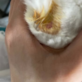 Petzz Kuaför Çalışanın Saygısız Davranışları