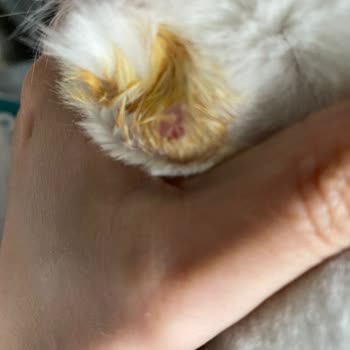 Petzz Kuaför Çalışanın Saygısız Davranışları