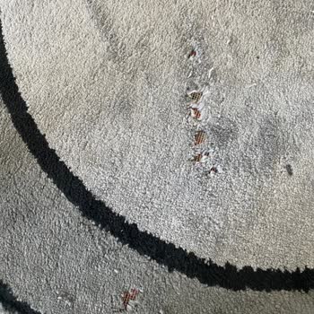 İhlas Pazarlama Süpürge Halıma Zarar Verdi