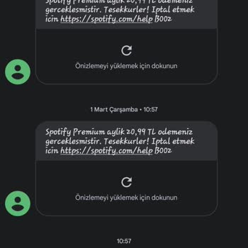 Spotify'ın Para Sevdası