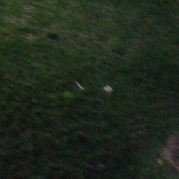 Kiptaş Temizlik Ve Bakım