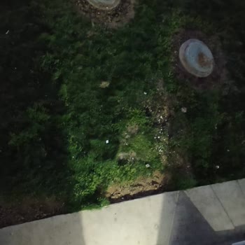 Kiptaş Temizlik Ve Bakım Sorunu