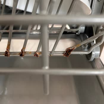 Rusty Franke Dishwasher :(