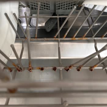 Rusty Franke Dishwasher :(