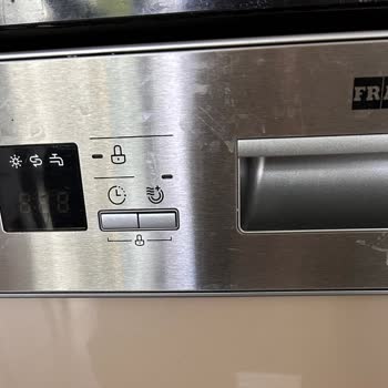 Rusty Franke Dishwasher :(