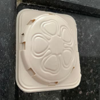 Detan Karınca Yemi İşe Yaramıyor