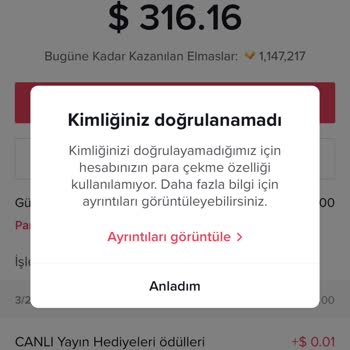 TikTok Kimliğim Doğrulanmadı Hatası