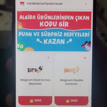 Algida Dondurma Firması Smb Grup Sorun Yaşama