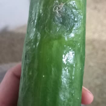 A101 Bozuk Uydurmasyon Ürün Teslimi