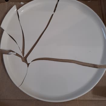 Schafer Yemek Takımı Kırık Parçalar