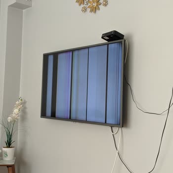Philips TV TV Beyaz Siyah Çizgiler